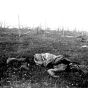 Florence Farmborough | Ein toter Soldat auf dem Schlachtfeld an der Ostfront, 1916